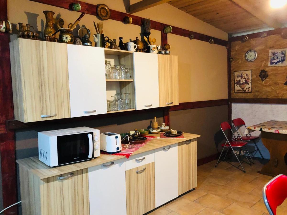 Готель Casa Andrei Костінешть Екстер'єр фото
