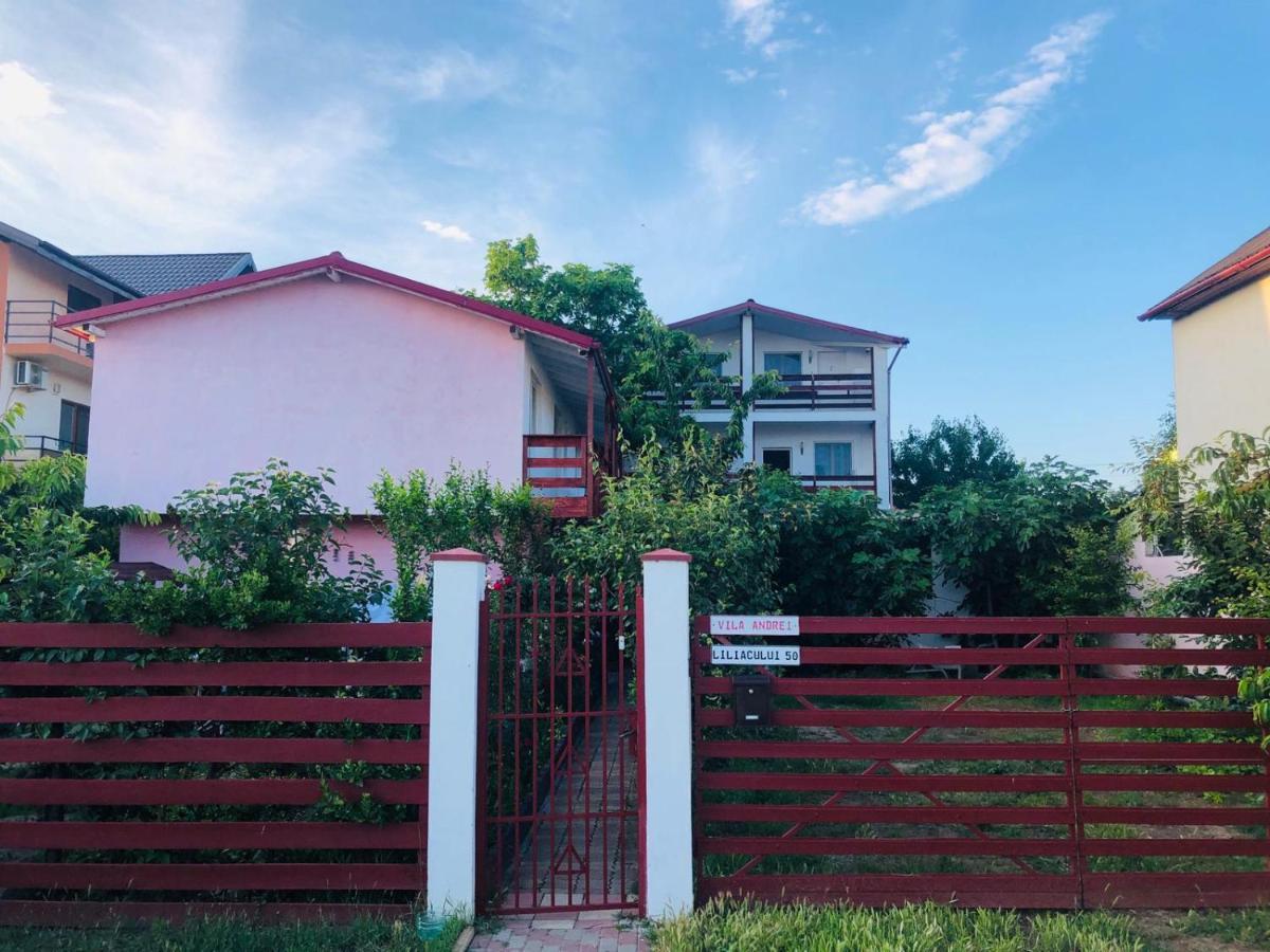 Готель Casa Andrei Костінешть Екстер'єр фото